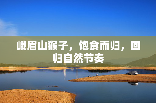 峨眉山猴子，饱食而归，回归自然节奏