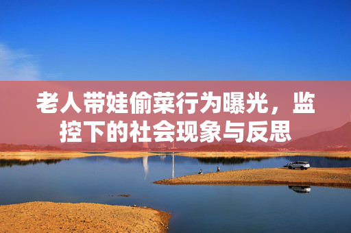 老人带娃偷菜行为曝光，监控下的社会现象与反思