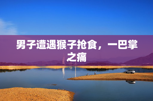 男子遭遇猴子抢食，一巴掌之痛