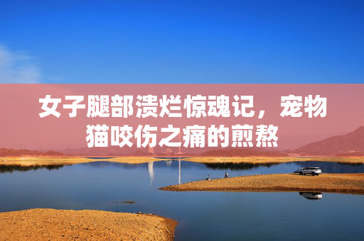 女子腿部溃烂惊魂记，宠物猫咬伤之痛的煎熬