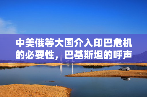 中美俄等大国介入印巴危机的必要性，巴基斯坦的呼声与地区稳定的重要性