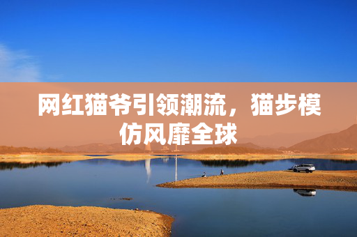 网红猫爷引领潮流，猫步模仿风靡全球