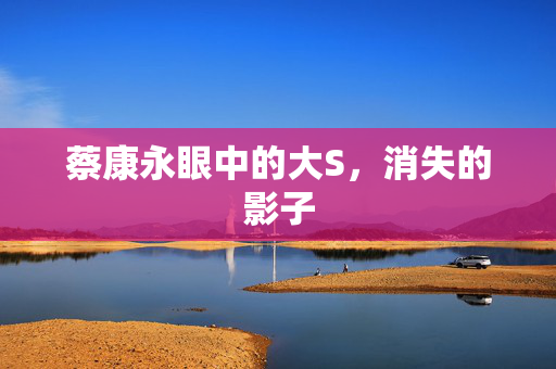 蔡康永眼中的大S，消失的影子