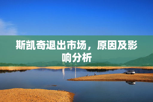 斯凯奇退出市场，原因及影响分析