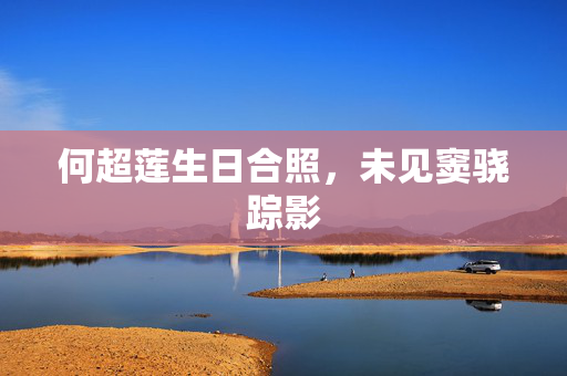 何超莲生日合照，未见窦骁踪影