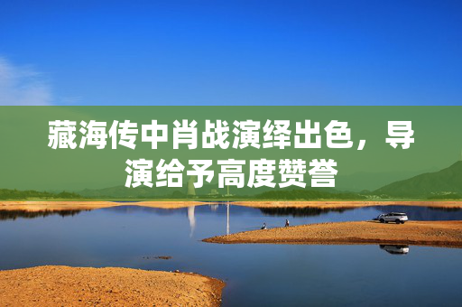 藏海传中肖战演绎出色，导演给予高度赞誉