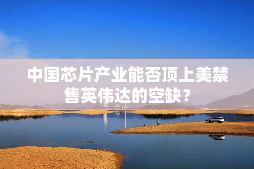中国芯片产业能否顶上美禁售英伟达的空缺？