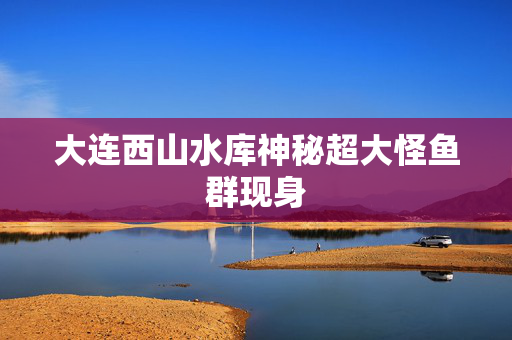 大连西山水库神秘超大怪鱼群现身