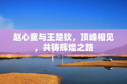 赵心童与王楚钦，顶峰相见，共铸辉煌之路