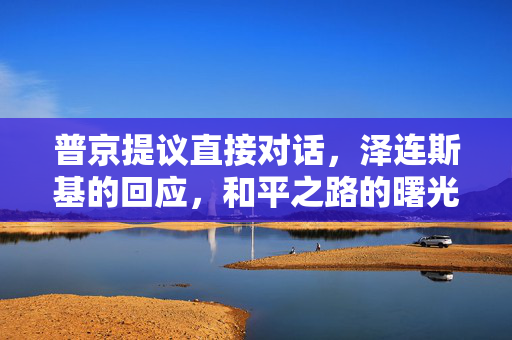 普京提议直接对话，泽连斯基的回应，和平之路的曙光