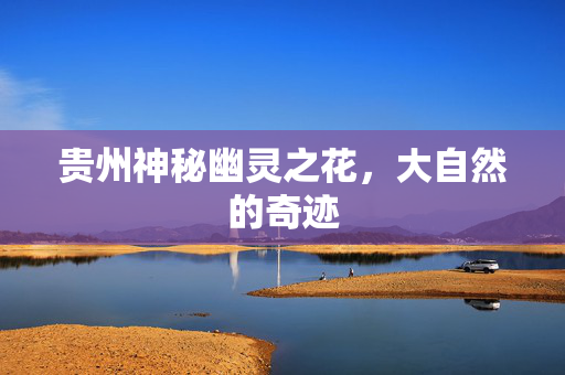 贵州神秘幽灵之花，大自然的奇迹