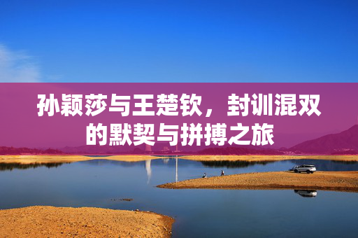 孙颖莎与王楚钦，封训混双的默契与拼搏之旅