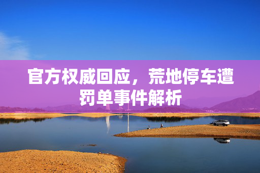 官方权威回应，荒地停车遭罚单事件解析