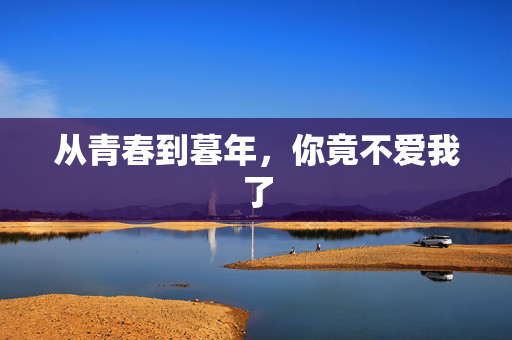 从青春到暮年，你竟不爱我了