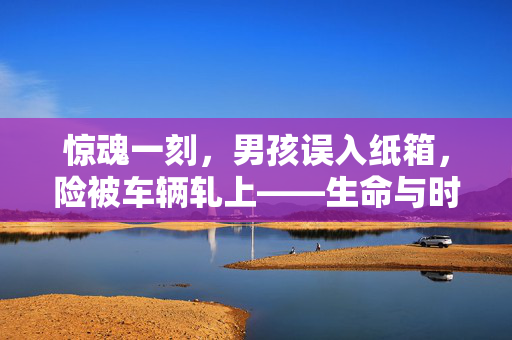 惊魂一刻，男孩误入纸箱，险被车辆轧上——生命与时间的较量