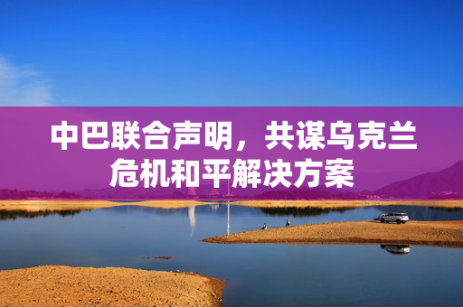 中巴联合声明，共谋乌克兰危机和平解决方案