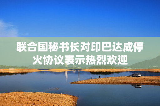 联合国秘书长对印巴达成停火协议表示热烈欢迎