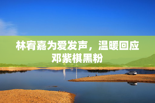 林宥嘉为爱发声，温暖回应邓紫棋黑粉