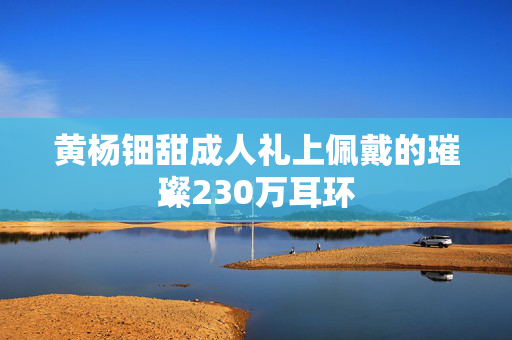 黄杨钿甜成人礼上佩戴的璀璨230万耳环