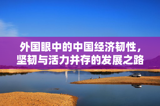 外国眼中的中国经济韧性，坚韧与活力并存的发展之路