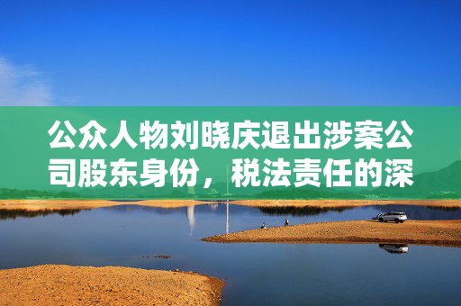 公众人物刘晓庆退出涉案公司股东身份，税法责任的深度解读