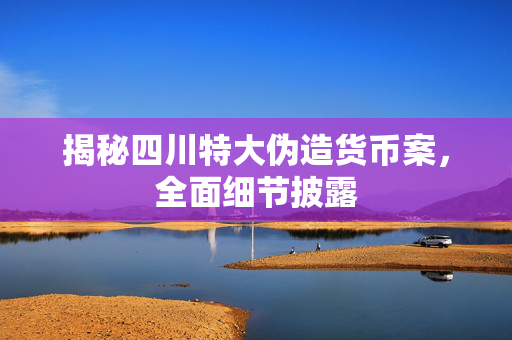 揭秘四川特大伪造货币案，全面细节披露