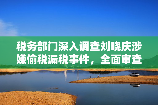 税务部门深入调查刘晓庆涉嫌偷税漏税事件，全面审查与追责的背后