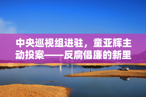 中央巡视组进驻，童亚辉主动投案——反腐倡廉的新里程碑