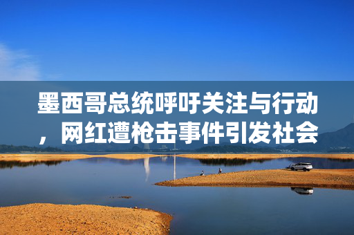 墨西哥总统呼吁关注与行动，网红遭枪击事件引发社会关注