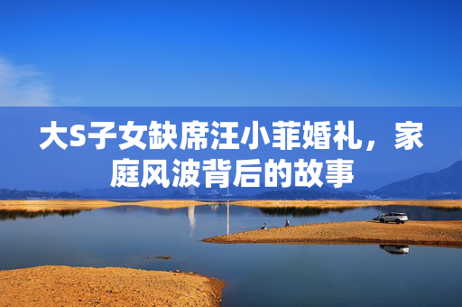 大S子女缺席汪小菲婚礼，家庭风波背后的故事