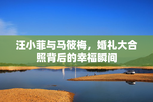 汪小菲与马筱梅，婚礼大合照背后的幸福瞬间