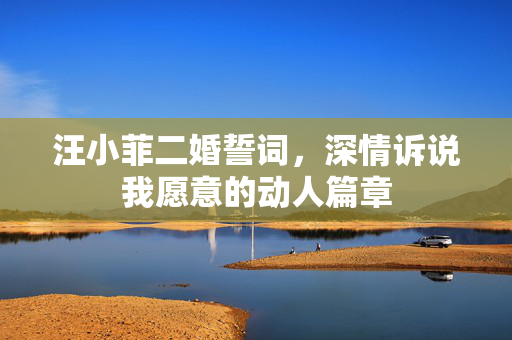 汪小菲二婚誓词，深情诉说我愿意的动人篇章