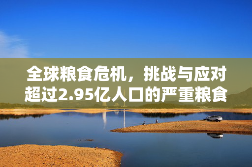 全球粮食危机，挑战与应对超过2.95亿人口的严重粮食不安全