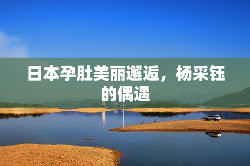 日本孕肚美丽邂逅，杨采钰的偶遇