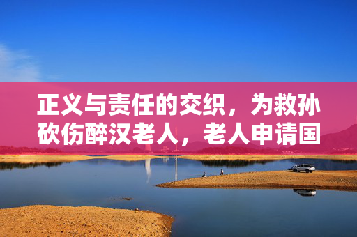 正义与责任的交织，为救孙砍伤醉汉老人，老人申请国赔128万事件剖析