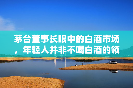 茅台董事长眼中的白酒市场，年轻人并非不喝白酒的领域