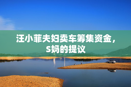 汪小菲夫妇卖车筹集资金，S妈的提议