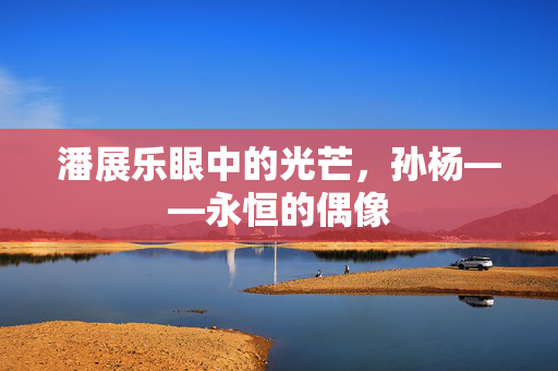 潘展乐眼中的光芒，孙杨——永恒的偶像