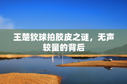 王楚钦球拍胶皮之谜，无声较量的背后