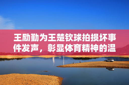 王励勤为王楚钦球拍损坏事件发声，彰显体育精神的温暖与力量