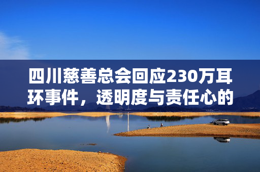 四川慈善总会回应230万耳环事件，透明度与责任心的展现