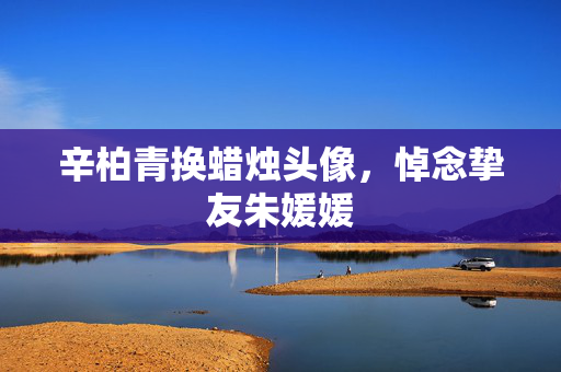 辛柏青换蜡烛头像，悼念挚友朱媛媛