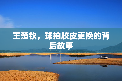 王楚钦，球拍胶皮更换的背后故事