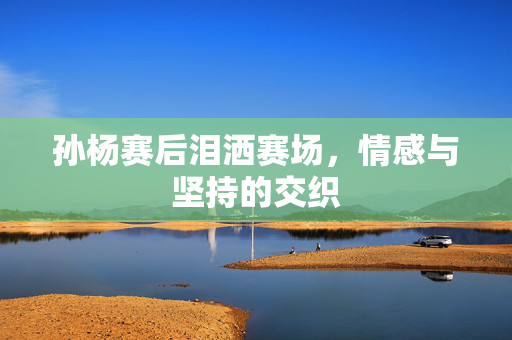 孙杨赛后泪洒赛场，情感与坚持的交织