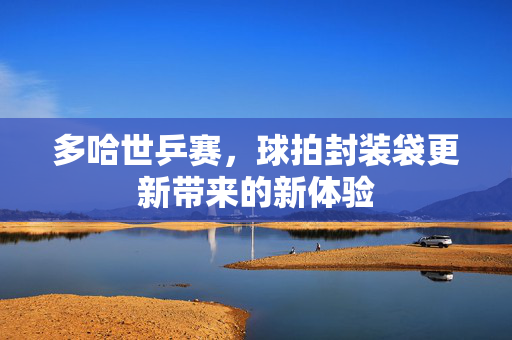 多哈世乒赛，球拍封装袋更新带来的新体验