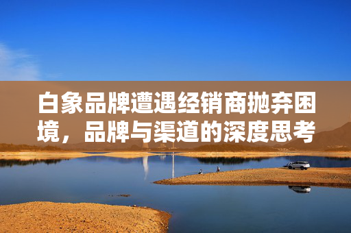 白象品牌遭遇经销商抛弃困境，品牌与渠道的深度思考
