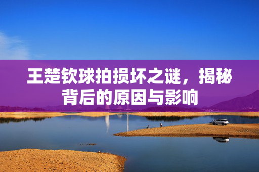 王楚钦球拍损坏之谜，揭秘背后的原因与影响
