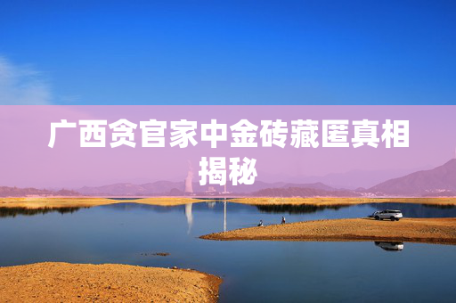 广西贪官家中金砖藏匿真相揭秘