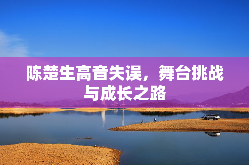 陈楚生高音失误，舞台挑战与成长之路