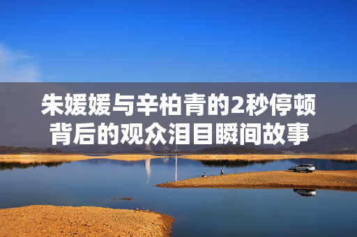 朱媛媛与辛柏青的2秒停顿背后的观众泪目瞬间故事